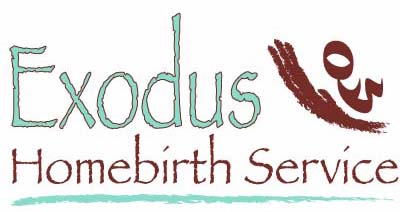 Exodus Homebith Service logo